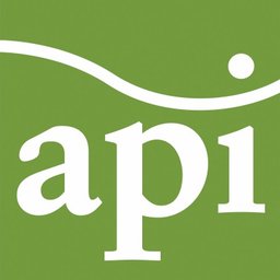 logo de api restauration